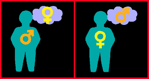 Women who fancy men go in one box; men who fancy women go in the other one