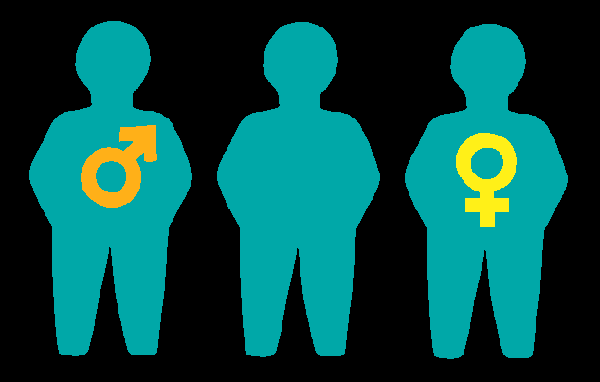 Three figures: one labelled male, one labelled female and one without a label