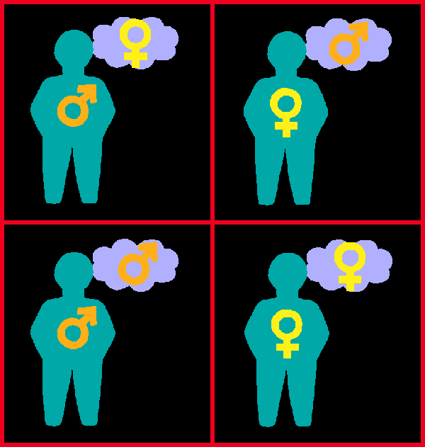 Four boxes:  gay men, straight men, gay women, straight women