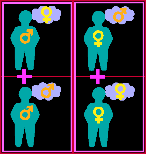 Bi men are seen as gay men added to straight men;  bi women are seen as gay women added to straight women